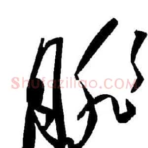 腓