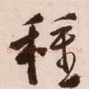 種