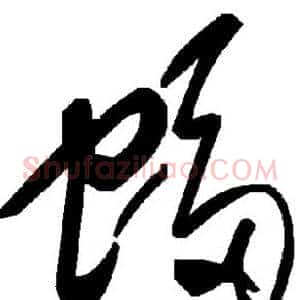 蝠