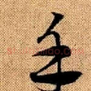 手