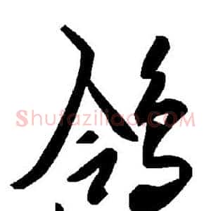 鸽