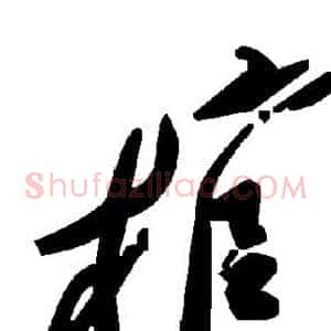 棺