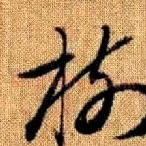 樹