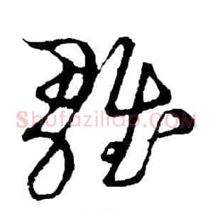 雏