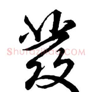 发