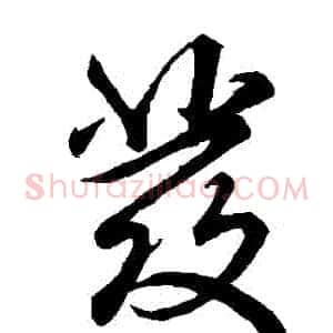 髮
