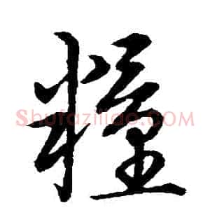 糧