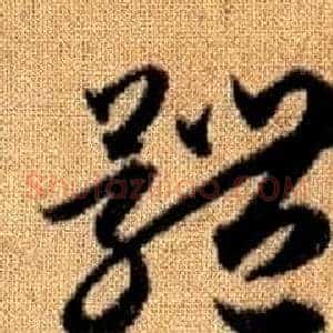 體