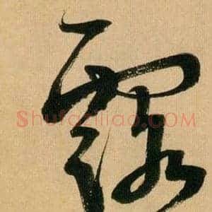露