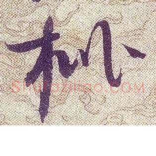 枇