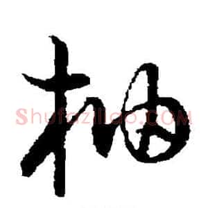 柚
