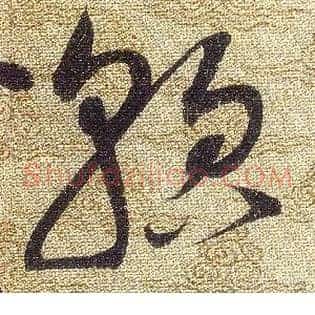 貌
