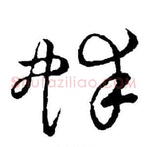 蚌