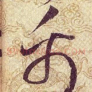 禹