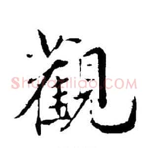 观