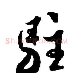 驻