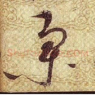 集