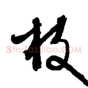 枝