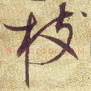 枝