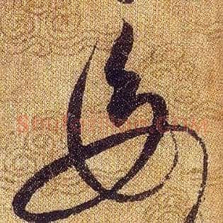 母