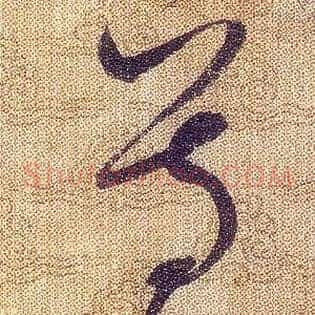 尊