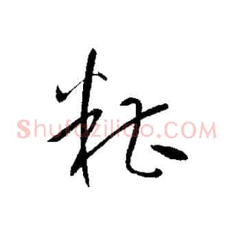 糟