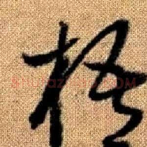 梧