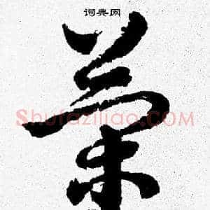 策
