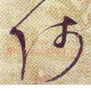 師