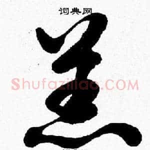 羔