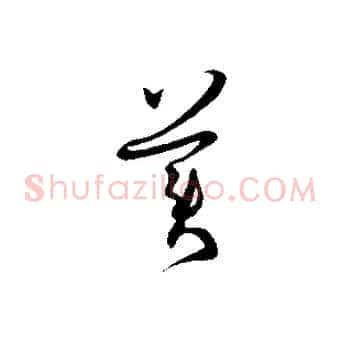 美