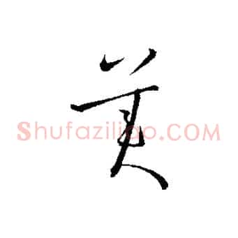美