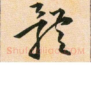 體