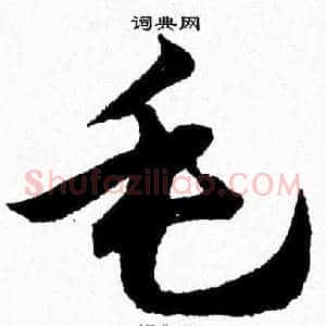 毛