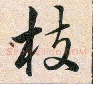 枝