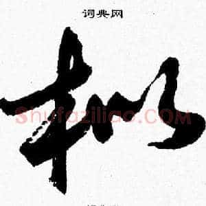枇