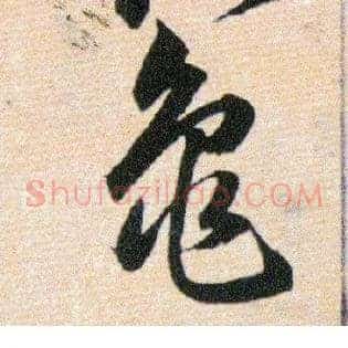 龜