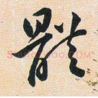 體