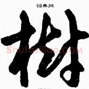 樹