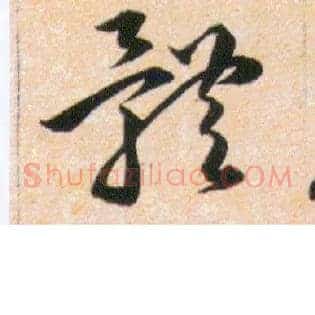 體