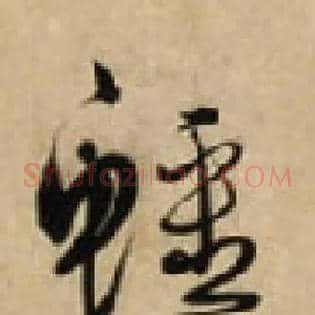 鱷