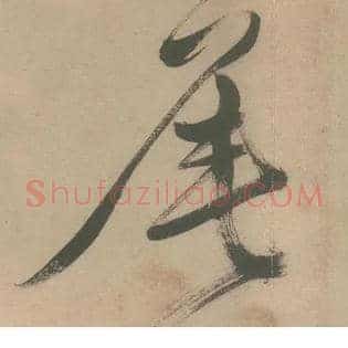 尾