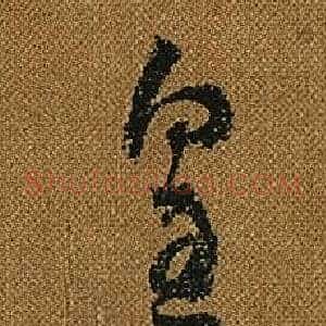 皇