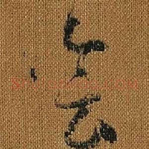 會