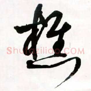 樵