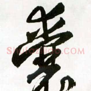 囊