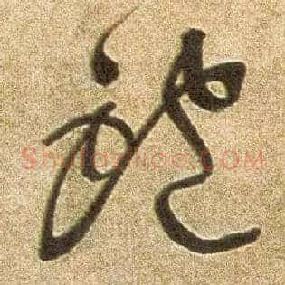 鲍