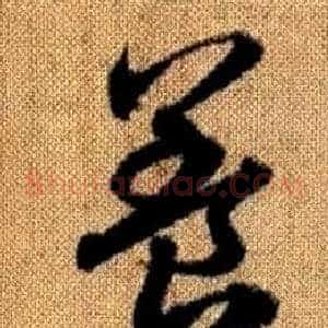 養