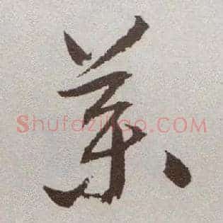 药