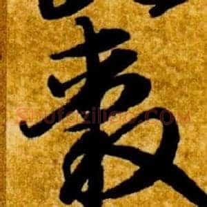 轂